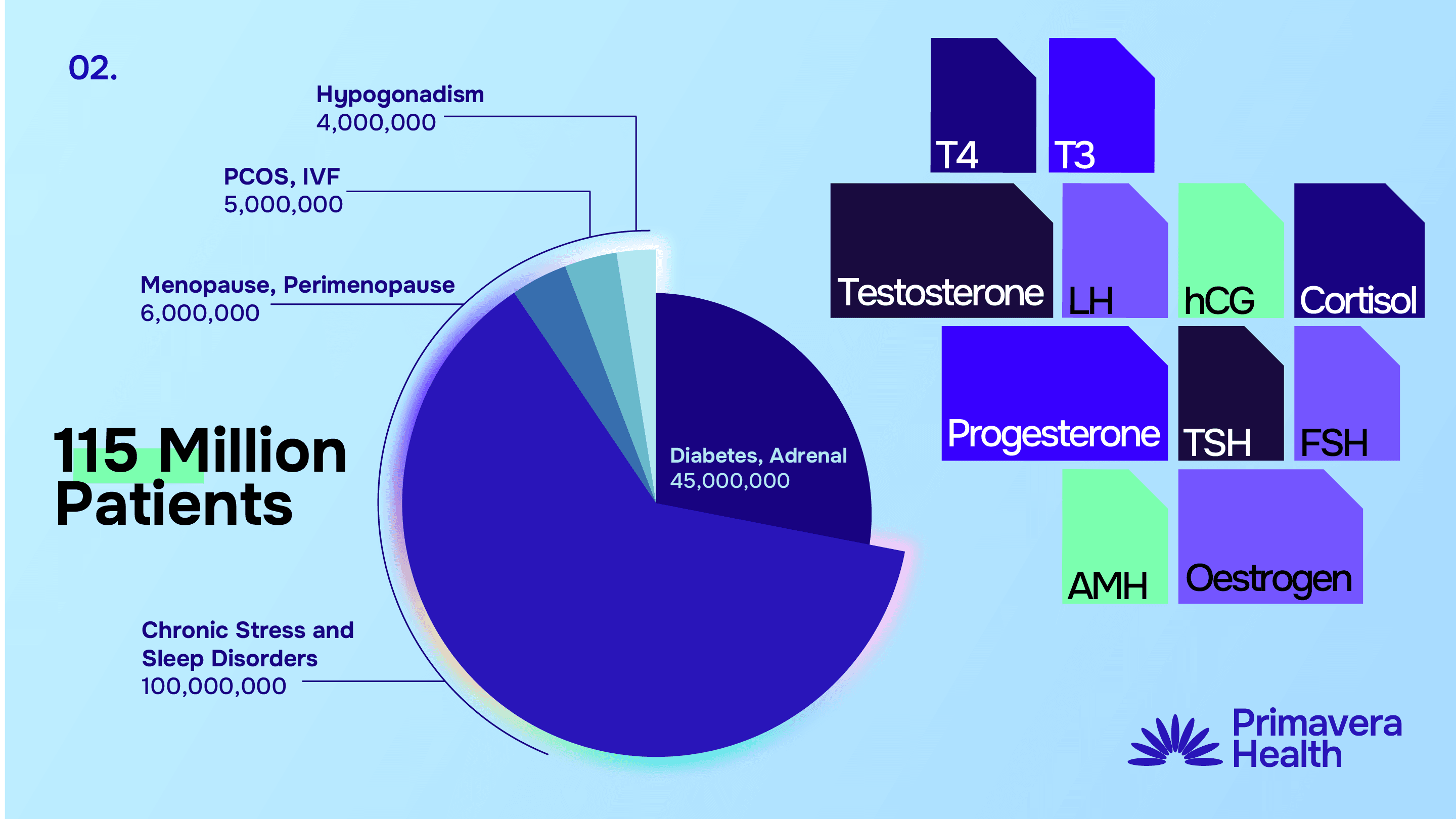Prima Vera Pitch Deck